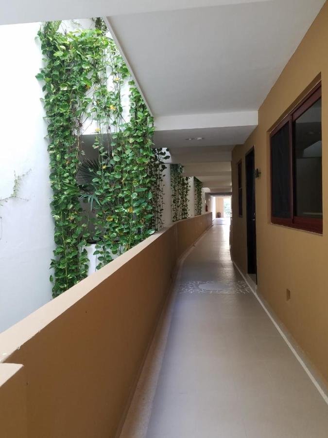 Апарт отель Ocean Front El Faro Reef 304 Плая-дель-Кармен Экстерьер фото